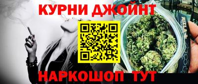 прущие грибы Тула