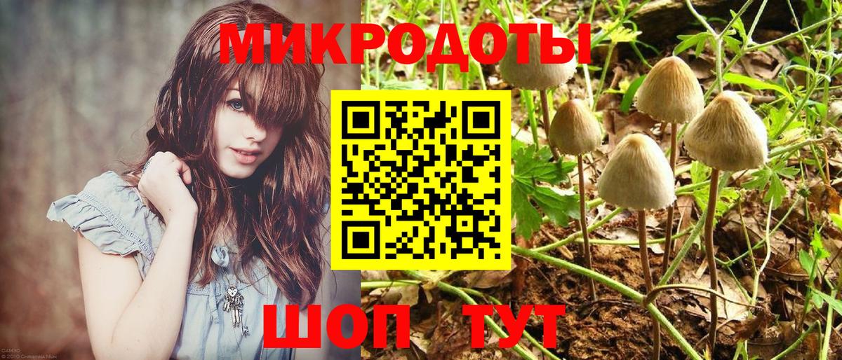 Галлюциногенные грибы Psilocybine cubensis  Вход с VPN  Галлюциногенные грибы Cubensis  Бийск 