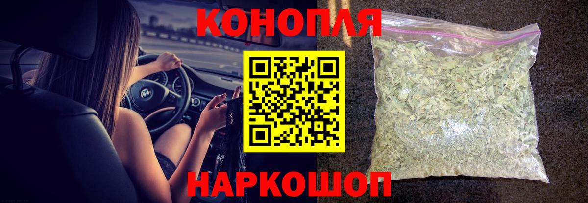 Канабис конопля Бийск